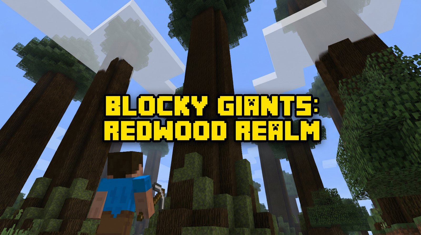 青柠视频植物视频 - 巨型红杉林探秘