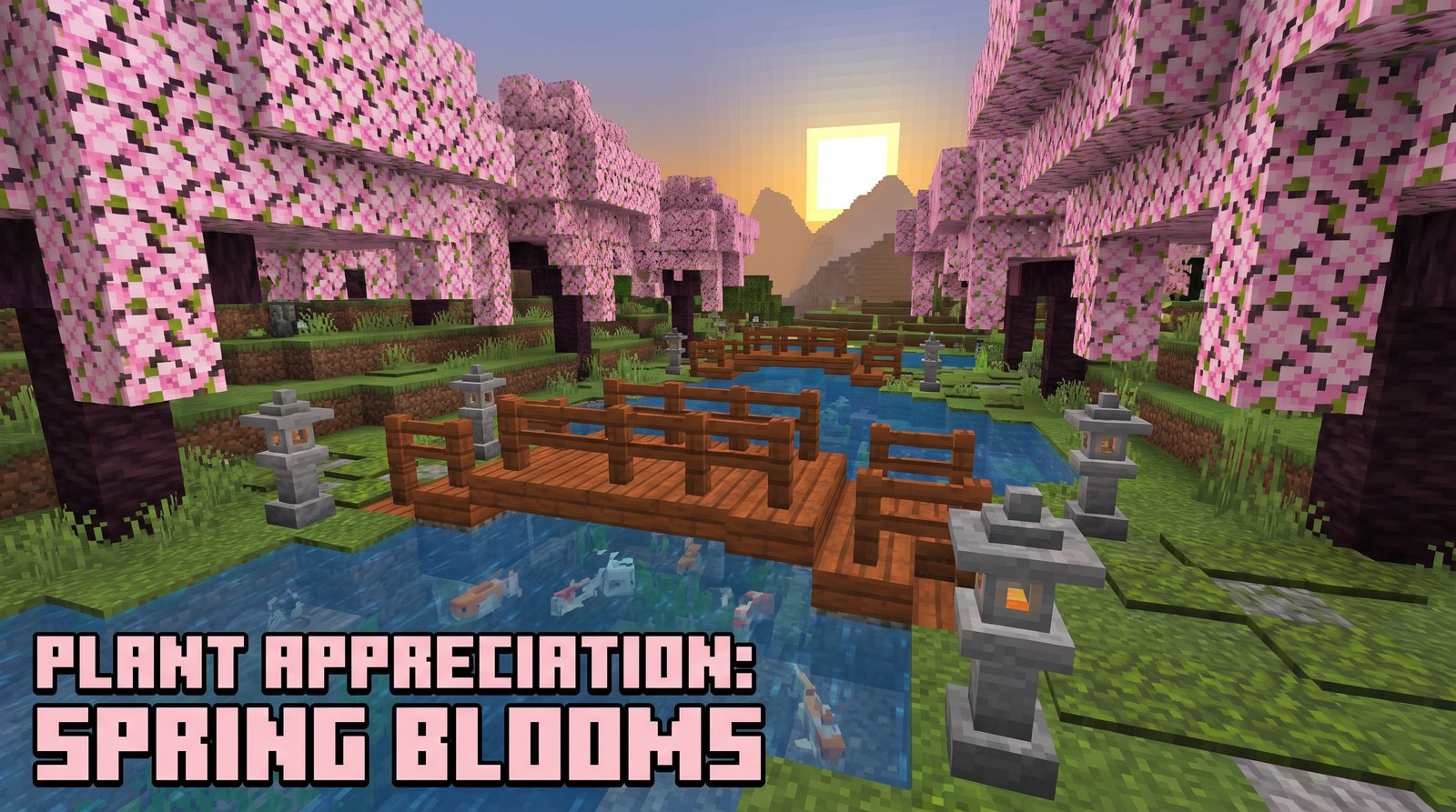 青柠视频植物视频 - 樱花季视频赏析